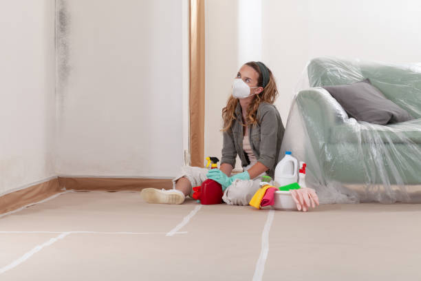 Reliable Mold Remediation contractor in Franklin Park, FL by WQB Mold Removal